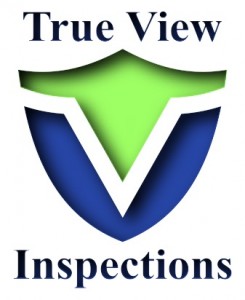 True View Logo 1-26-16