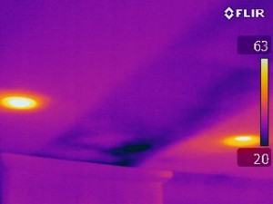 flir.moisture2