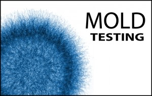 moldtesting-300x189